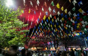 Festa Junina em São Lourenço MG de 16 a 18 de Maio 2025 com Pensão Completa